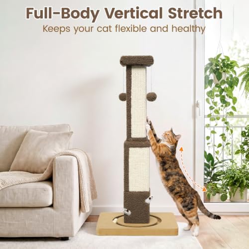 Cat Scratching Post for Indoor Big Cat Kitten Kitty, 33.5" Tall - Image 4