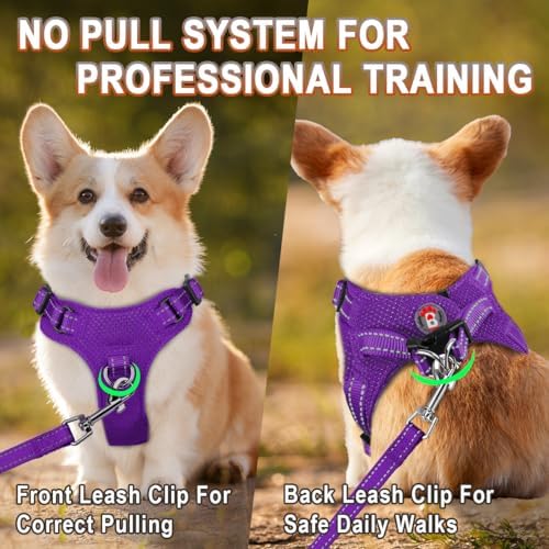 Dog Harness Step in Dog Vest Harness, Reflective Adjustable Puppy No Pull - Image 5
