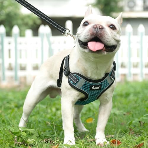 PUPTECK Dog Harness and Leash Set Medium Sized, Step in No Pull Adjustable - Image 5
