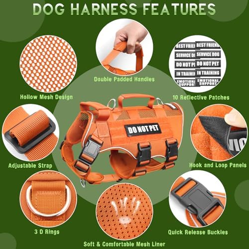 WINSEE Tactical Molle Vest Mesh Dog Harness - Image 4