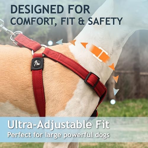 No Pull Dog Harness Medium Size Dog | Adjustable Heavy Duty Pet Harness - Image 4