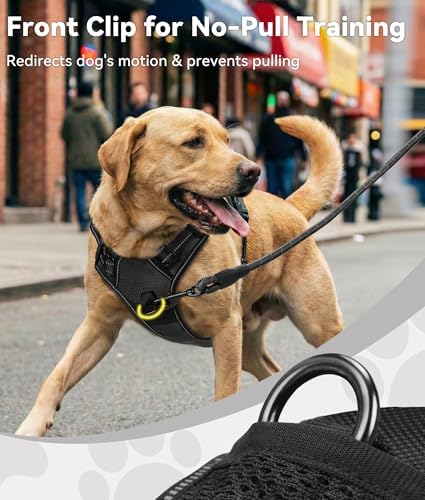 Joytale No Pull Dog Harness for Extra Large Dogs, Front Clip - Image 2