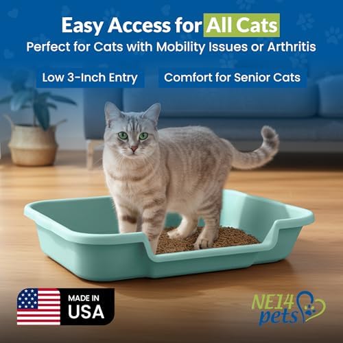 KittyGoHere Senior Cat Litter Box Large - Image 3
