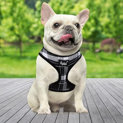 PUPTECK Small Dog Harness and Leash Set No Pull - Image 6