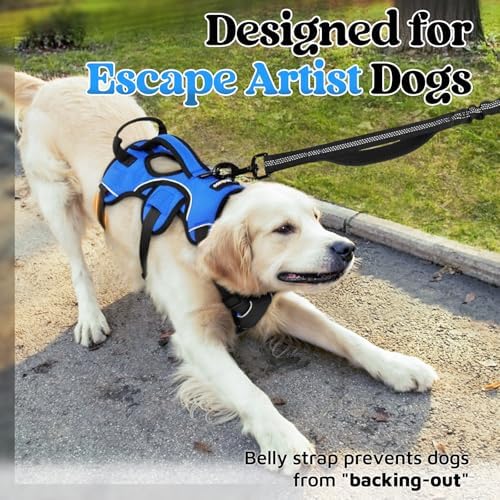 rabbitgoo Escape Proof Dog Harness - Image 3