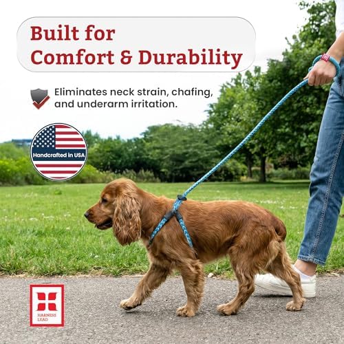 Harness Lead No Pull Dog Harness and Leash Set, Anti Pull Dog Harness, - Image 6