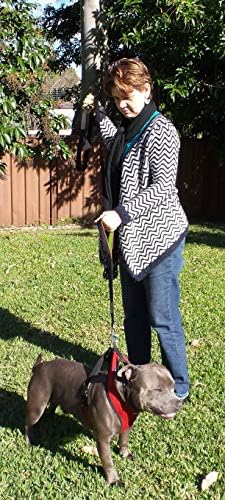 Primal Pet Gear Dog Leash 6ft Long, Traffic Padded Two Handle, Heavy Duty - Image 4