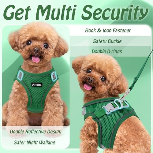 AIITLE Small Dog Harness and Leash Set, Step-in Puppy Pet Vest - Image 6