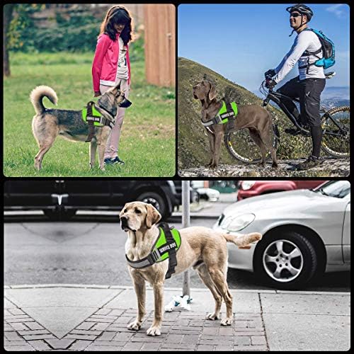 JSXD Dog Harness, No-Pull Service Dog Harness - Image 4