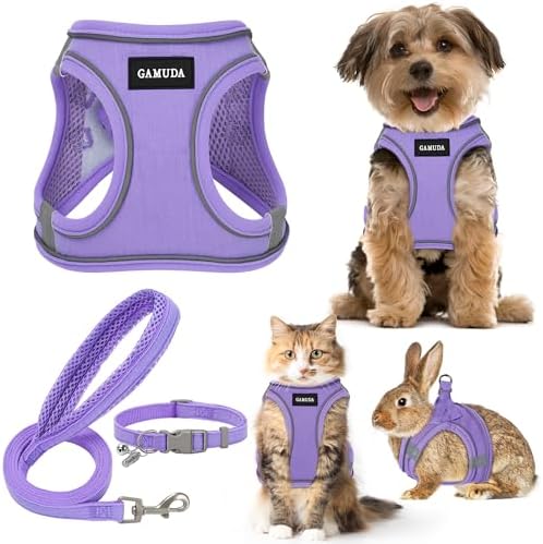 GAMUDA Small Pet Harness Collar and Leash Set, Step in No Chock No Pull Linen by GAMUDACollarsCollection