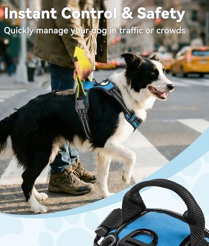 Joytale No Pull Dog Harness for Small Dogs, Front Clip, Sky Blue - Image 3