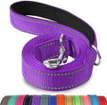 Joytale Reflective Dog Leash for Small Dogs, 6 FT x 3/4" by Joytale