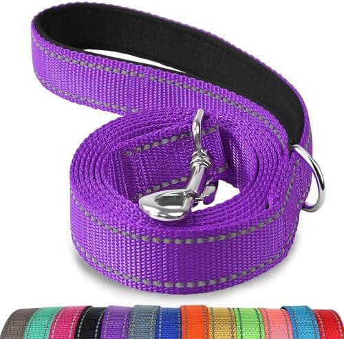Joytale Reflective Dog Leash for Small Dogs, 6 FT x 3/4" by Joytale