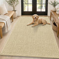 Smiry Dog Door Mat for Muddy Paws 59x35, Ultra Absorbent Chenille Doormat by Smiry