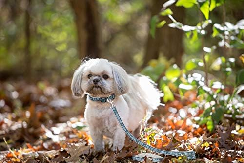 Pets First NFL Licensed Philadelphia Eagles Pet Leash, Size Medium – Durable - Image 4