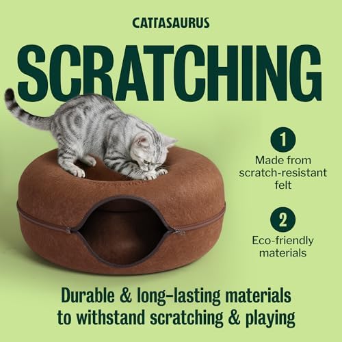Cattasaurus Peekaboo Cat Cave Donut - Image 5
