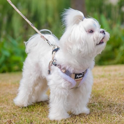 PUPTECK Dog Harness and Leash Set Small Sized, Step in No Pull Adjustable Puppy - Image 5