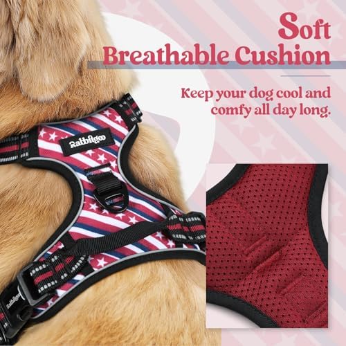 rabbitgoo Dog Harness, No Pull Medium Sized - Image 2