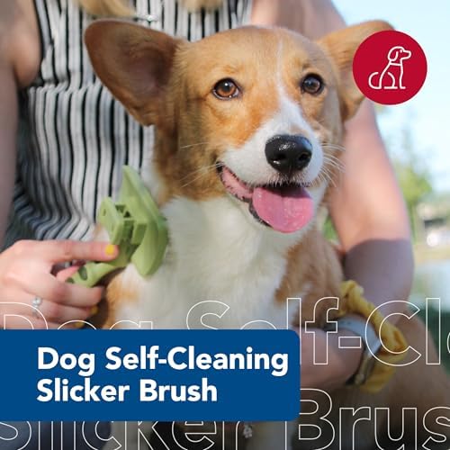 Coastal Pet Safari Dog Self-Cleaning Slicker Brush, 4.25" x 4.06" - Image 2