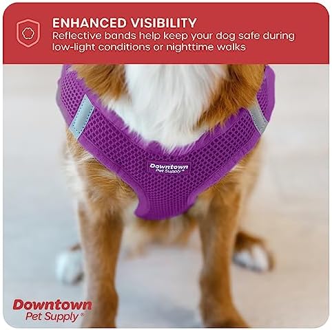 Downtown Pet Supply Step-in Dog Harness – No Pull, Adjustable Padded Mesh - Image 7