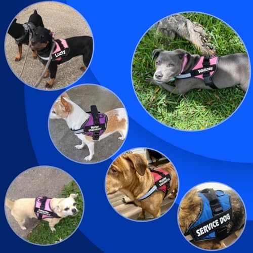 MUMUPET Custom Dog Harness - Image 5