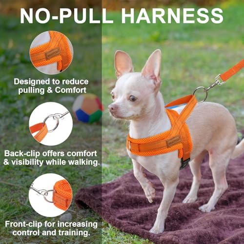 BEAUTYZOO Dog Harness for Large Dogs, No Pull Step in Pet Vest and Leash Set - Image 5