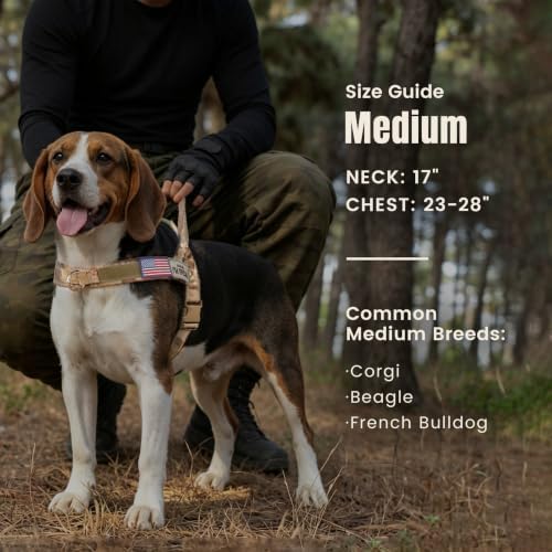 Forestpaw No Pull Dog Harness - Image 4