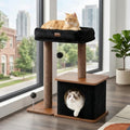 Small Cat Tree for Indoor Kittens by Purrlato