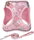 Mihqy Step in Dog Harness and Leash Set, Soft Breathable Mesh by Mihqy