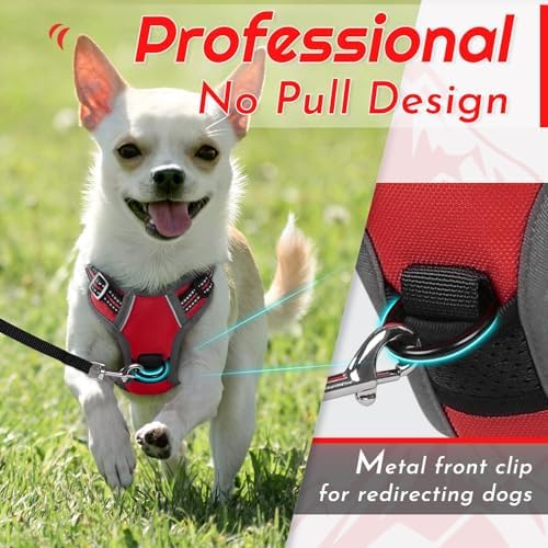 Eagloo Dog Harness for Small Dogs, No Pull Pet Vest - Image 3