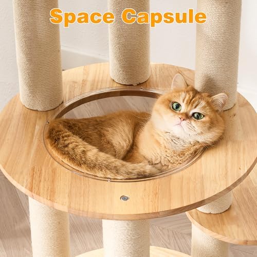 HITTITE Solid Wood Cat Tree Tower - Image 4
