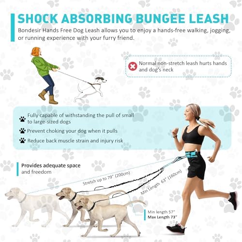 Waist Leash for Double Dog Walking 2 Medium and Large Dogs; Shock-Absorbing - Image 5