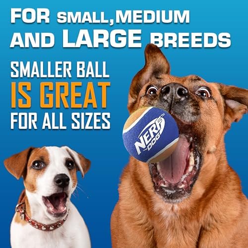 Nerf Dog Tennis Ball Blaster Dog Toy Gift Set, Tennis Ball Dog Fetch Toy - Image 6