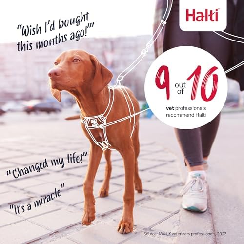 Halti No Pull Dog Harness | Size XS, Forest Green - Image 6