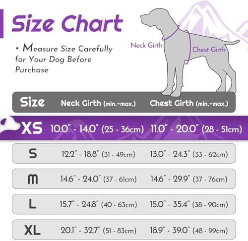 Eagloo Dog Harness for Small Dogs, No Pull Pet Vest - Image 2