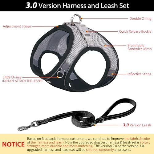 AIITLE Medium Dog Harness and Leash Set, Step-in Puppy Pet Vest - Image 4