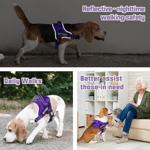 AUROTH Dog Harness for Large Dogs No Pull Tactical Harness and Leash Set - Image 2