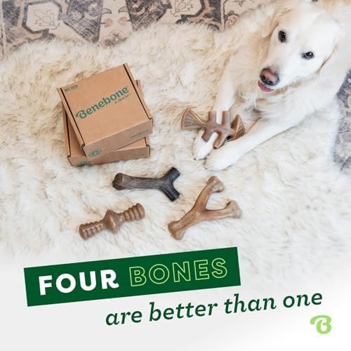 Benebone Small 4-Pack Dog Toys for Aggressive Chewers – Under 30 lbs - Image 5