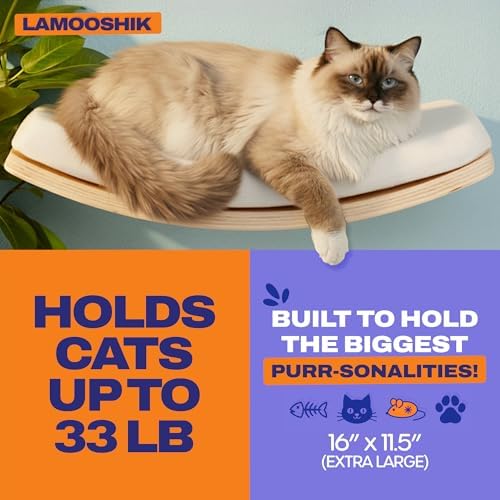 Cat Wall Shelves, Natural Floating Cat Furniture - Image 4