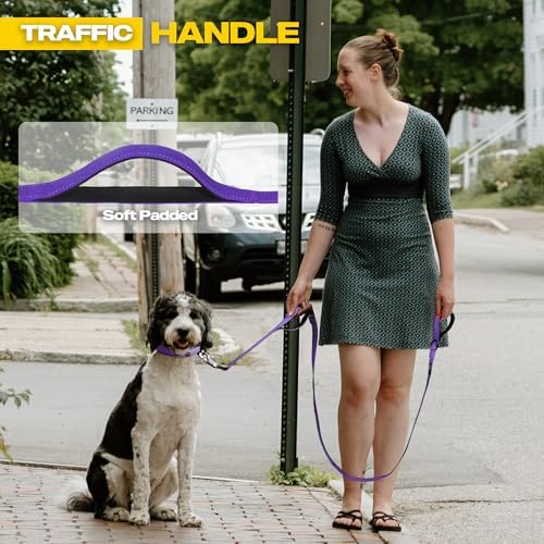 Fida 10 FT Heavy Duty Dog Leash, Dual Padded Handles - Image 3