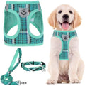 PUPTECK Dog Harness, Collar and Leash Set No Pull by PUPTECK