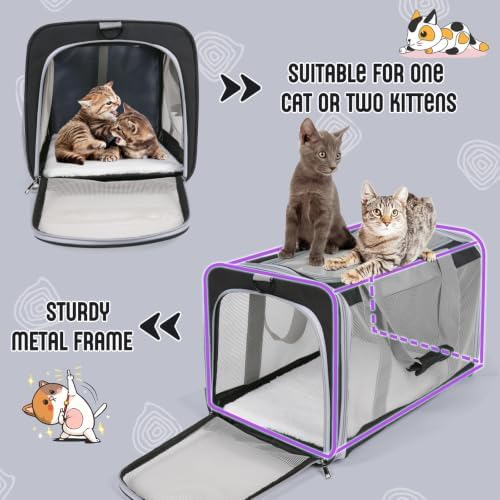 Pet Carrier for Large Cats of 20 Lbs, Collapsible Carrier Bag for Big Cat or 2 - Image 5