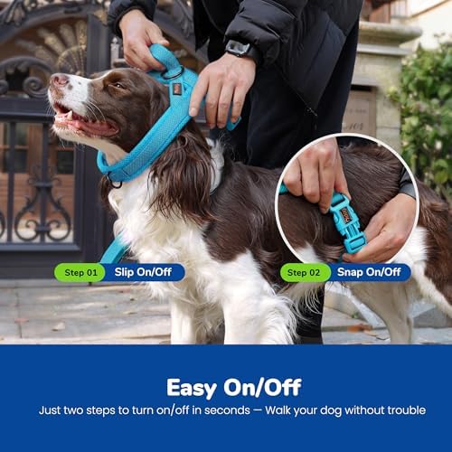 Didog No Pull Dog Harness for Medium Dogs, Breathable Mesh Padded - Image 4