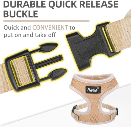 PUPTECK Small Dog Harness and Leash Set No Pull - Image 4