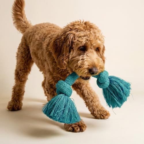 Playology Tug Rope Dog Toys for Medium Dogs - Image 3