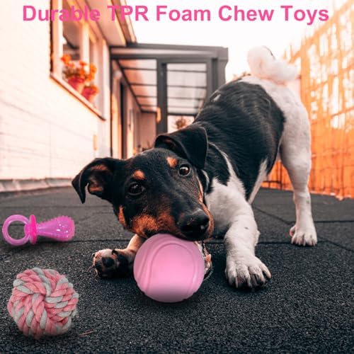 Beiker 20 Pack Pink Puppy Chew Toys, Dog Teething Toys - Image 3
