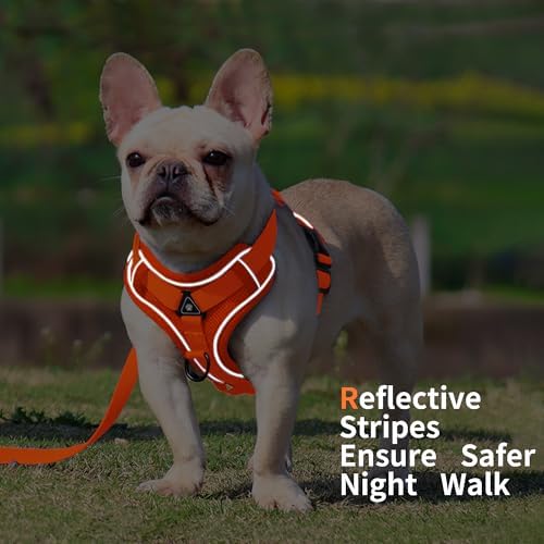 Dog Harness Small Sized Dog Pet Vest - Image 5