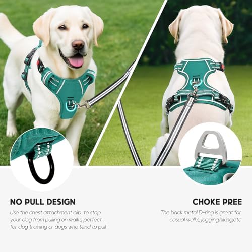 Timos Dog Harness, No Pull Large Sized - Image 5