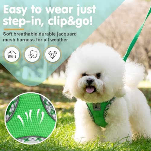Dog Harness and Leash Set, No Pull Pet Harness - Image 2