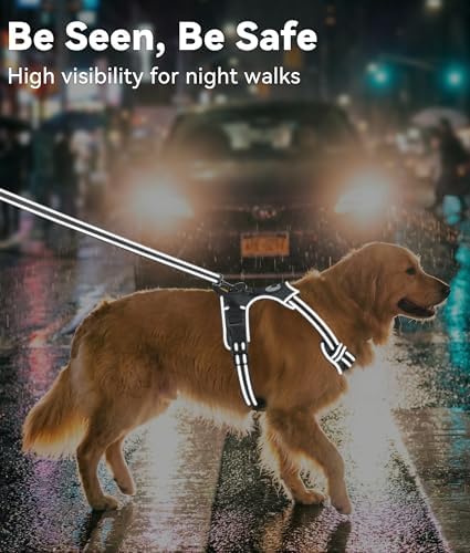 Joytale No Pull Dog Harness for Small Dogs, Front Clip - Image 5